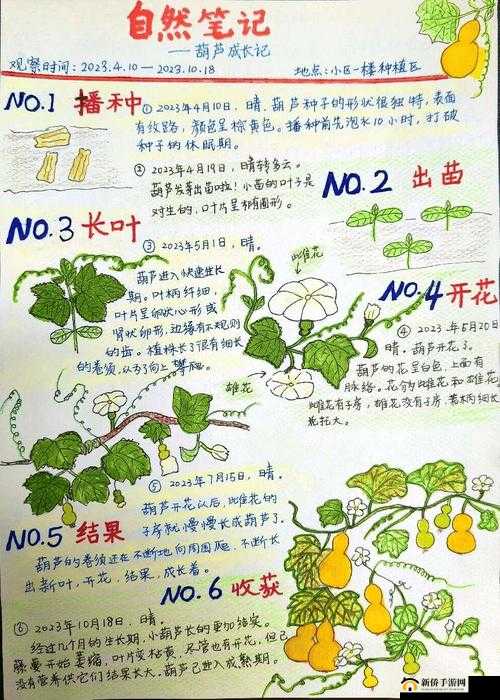 颈腰挺过那层薄膜：探索身体的坚韧奥秘