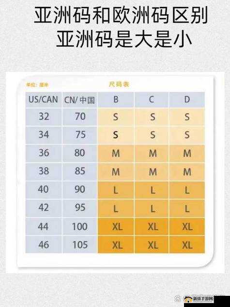 亚洲尺码与欧洲尺码的区别：深度解析