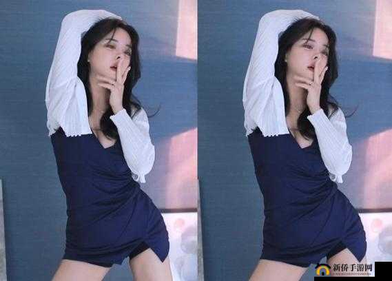 HD2LINODE 国产 IPHONE69：相关介绍