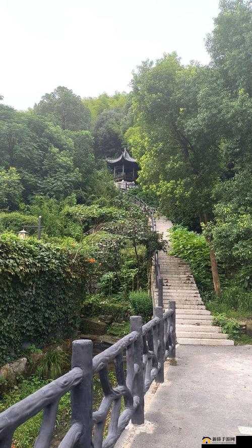 7777 精品久久久大香线蕉小说：成人的性幻想