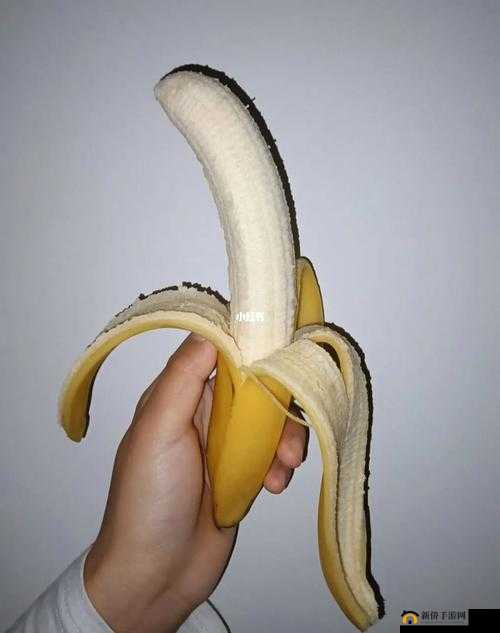 午煮香蕉小辣椒：独特的烹饪创意