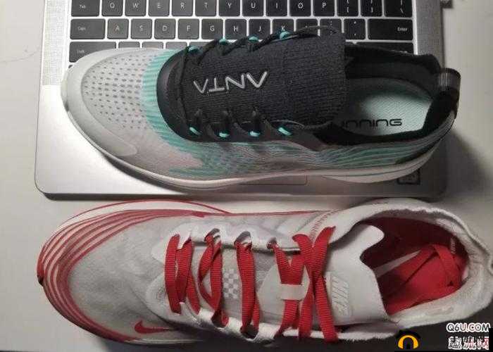 ZOOM 和 OKZOOM 区别：功能与特点对比