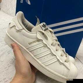 三叶草 gw4441：独特魅力展现