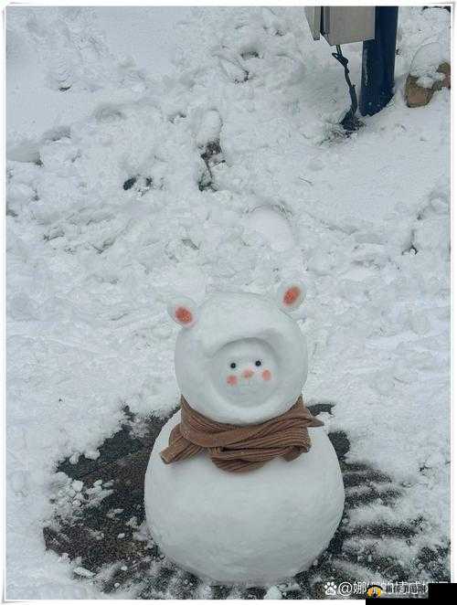 希望之村雪人制作宝典：步步教你堆出完美的雪人伙伴