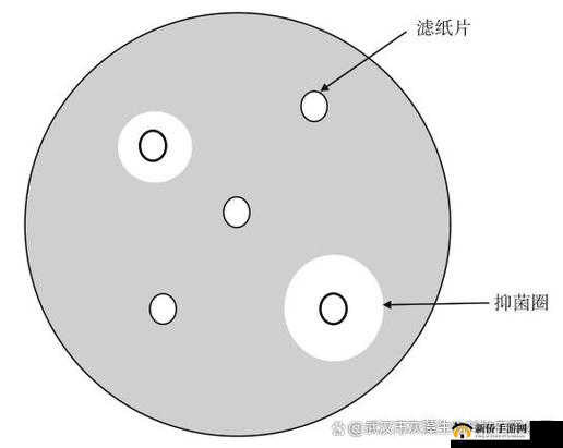 12 岁可以在内里塞 1 支笔吗：探究此问题的真相