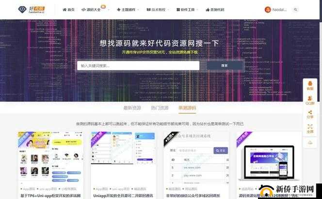 无需下载直接进入网站代码的便捷应用
