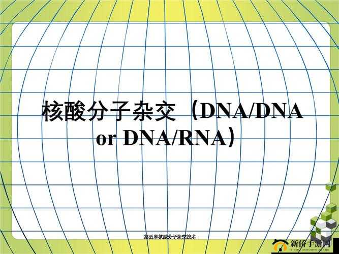 放射性 RNA 与 DNA 杂交相关研究探讨