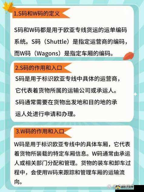 欧亚专线欧洲 W 码：相关介绍