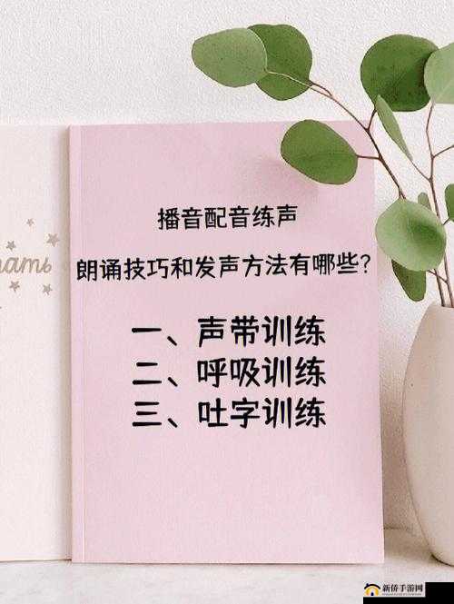舌战玉门：技巧与方法