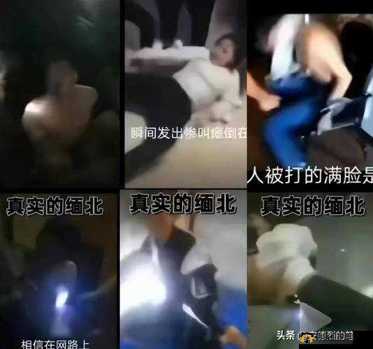 缅甸北部杀头血腥网站 2024 黑网：揭秘缅北诈骗背后的黑暗