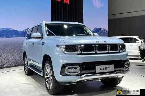 国产 SUV 精二区 69：一款优秀的车型