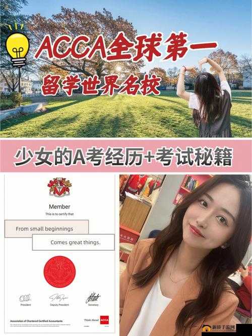 ACCA 少女 sdanvi 角色分析之魅力解读