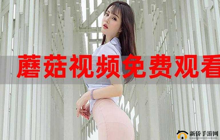 蘑菇视频软件观看入口：精彩内容等你来