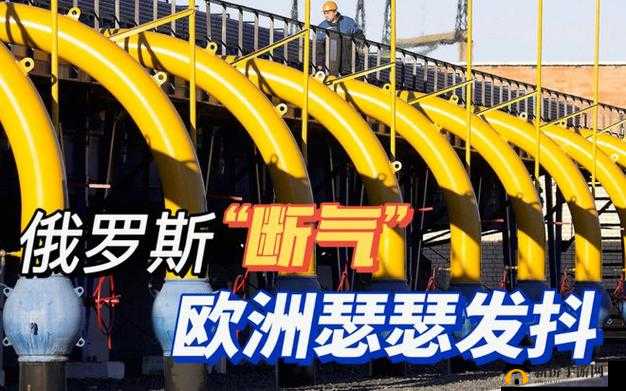 俄罗斯人又更新又出租中文相关内容