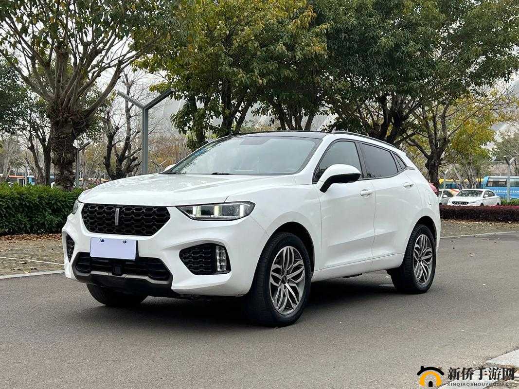 WeyVV5 国产 SUV：时尚与实力的完美结合