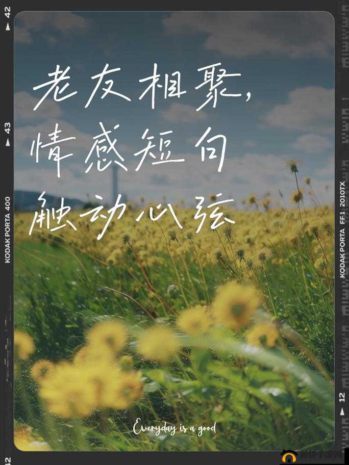 节之交未增减 3：岁月无声，情谊永恒