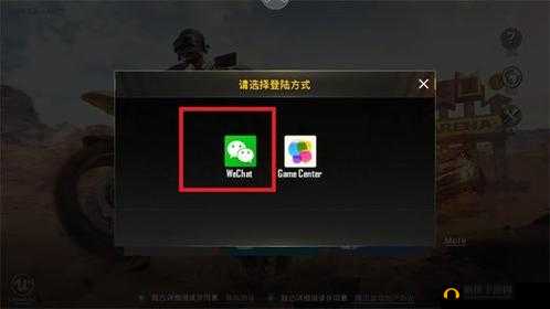 国际服刺激战场有哪些登录方式可供玩家选择