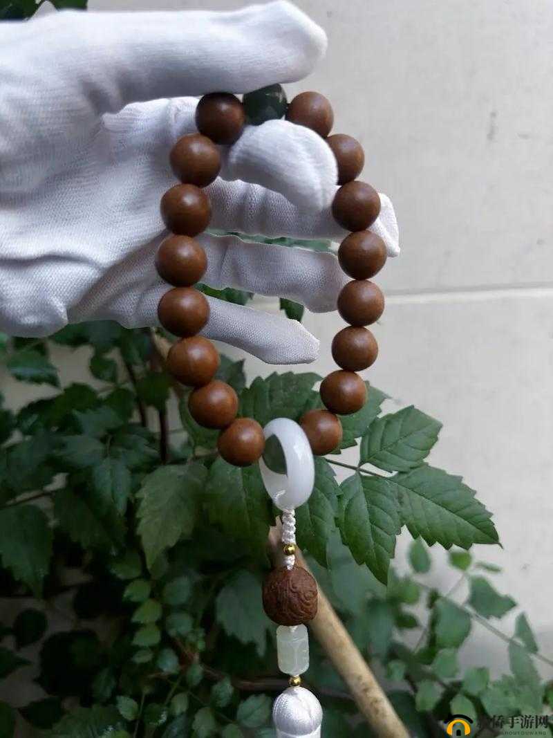 花蕊夫人合香珠的独特魅力