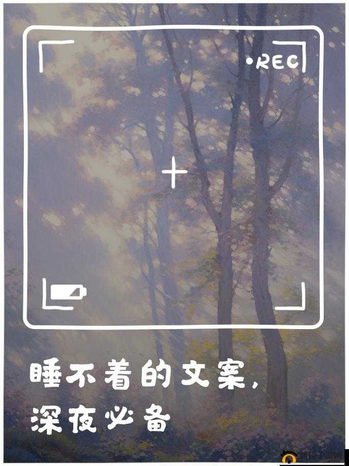 男子深夜睡不着想看点东西：有啥推荐