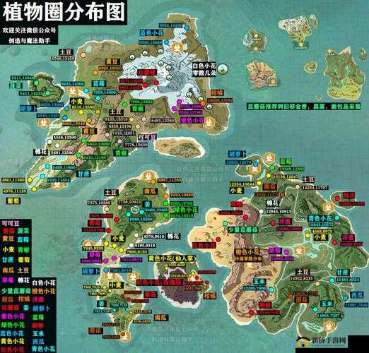 创造与魔法：树叶哪里多？探索资源丰富的地图