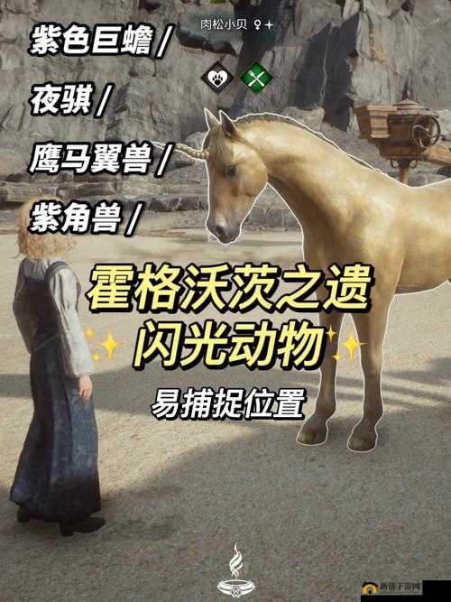 探索霍格沃茨之遗：如何捕捉野兽