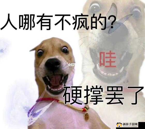 浪货 xxxx：真是让人无语