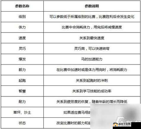 赛马牧场物语新手攻略及玩法指南