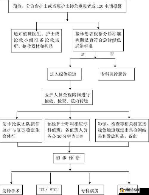 特殊急诊室待遇 2：生命的绿色通道