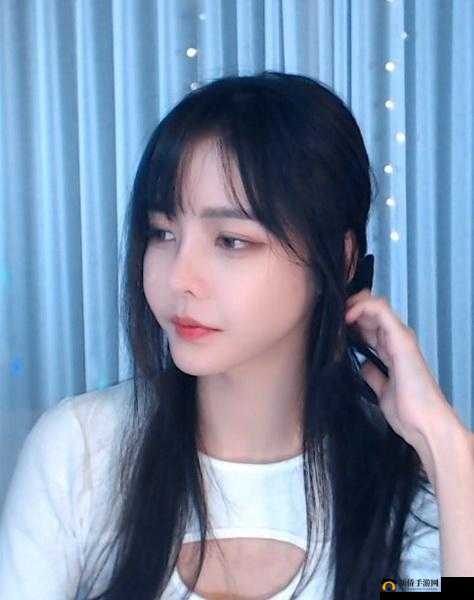 蘑菇 TV 黄：精彩内容不容错过