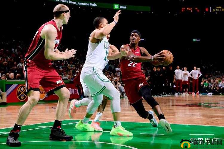 91 免费版 nba：精彩赛事随时看