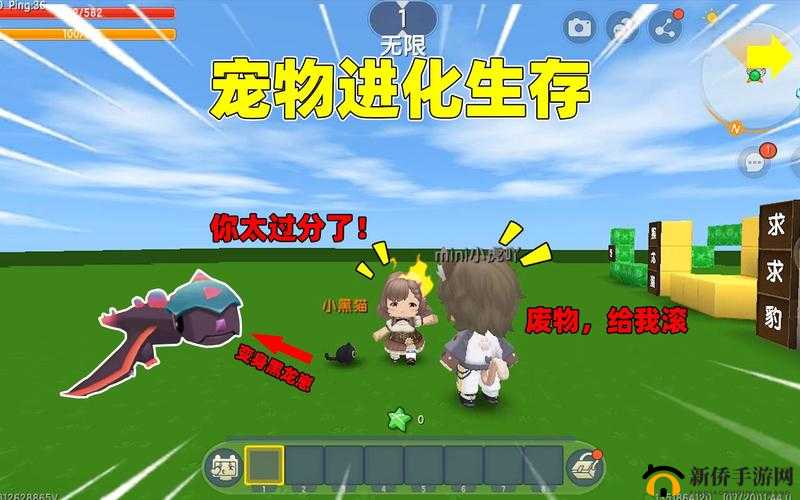 迷你世界宠物生存探秘：宠物是否能够长久陪伴？