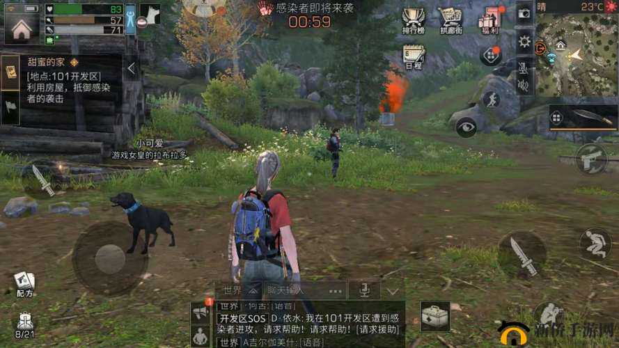 新手前期玩转明日之后最强攻略全解析与实用技巧大汇总