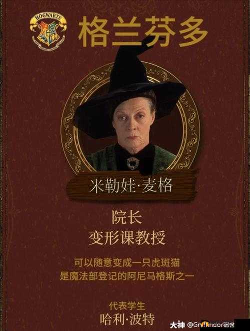 哈利波特魔法觉醒中应对具有挑战性的麦格教授的策略解析