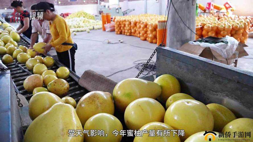 蜜柚视频入口：免费体验良好畅享精彩