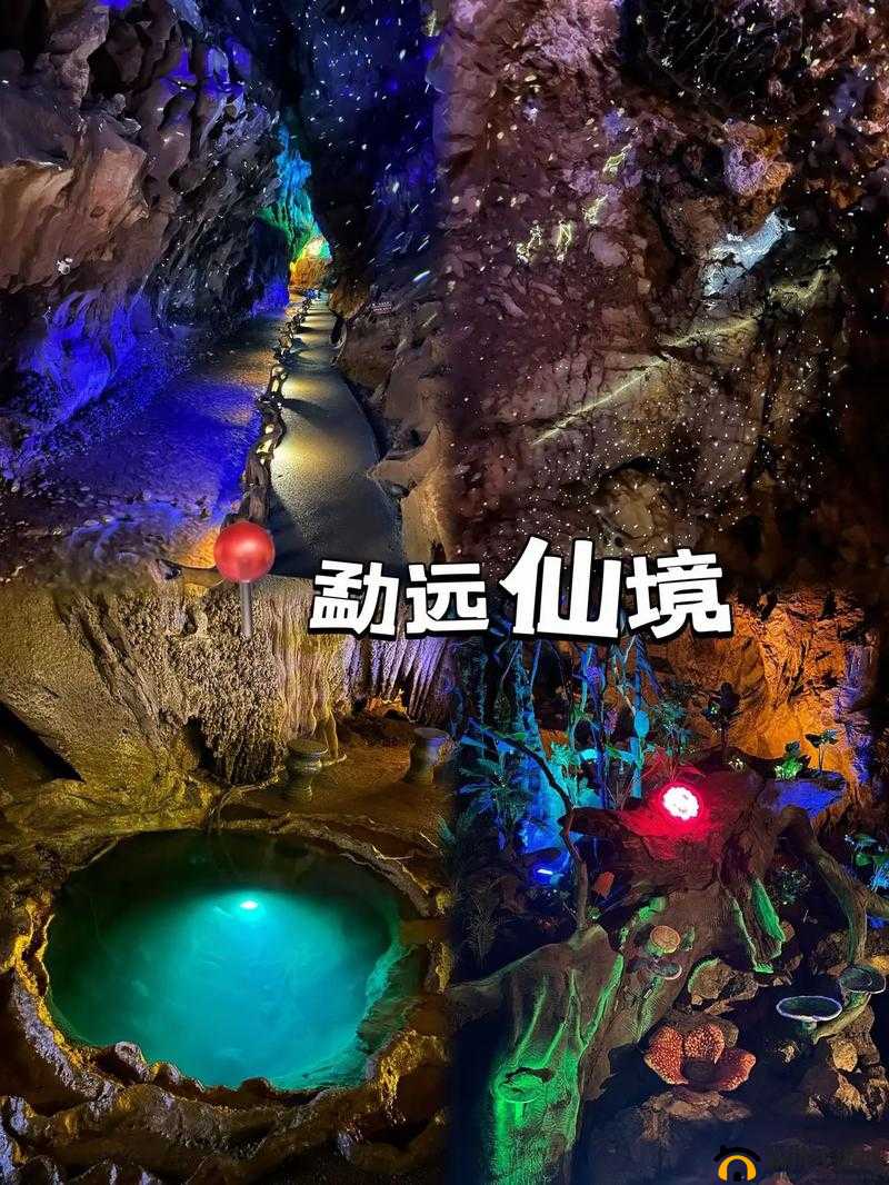 暗网呦呦呦：探寻未知的神秘世界