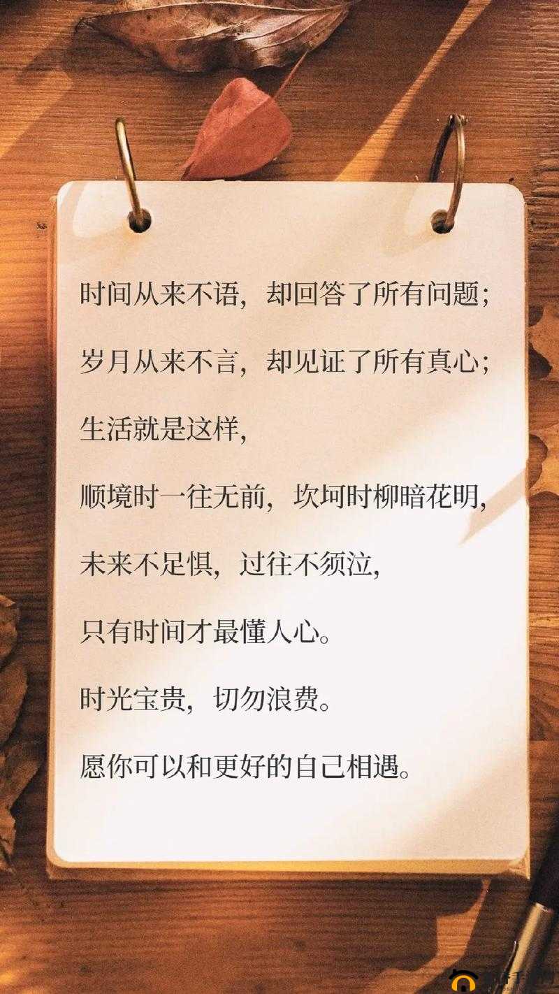 节之交未增减 3：岁月的见证