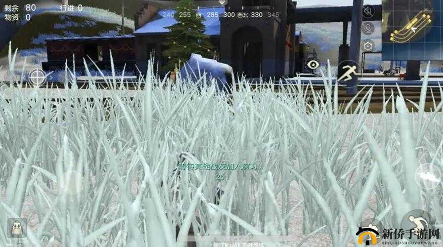 关于荒野行动雪天模式无法进入问题及雪地模式进入方法的全面解析
