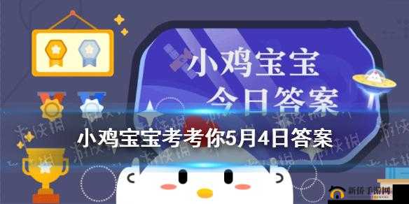 小鸡宝宝考考你：今天你学习了吗