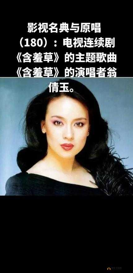 含羞草经典影视歌曲青春的忆影视