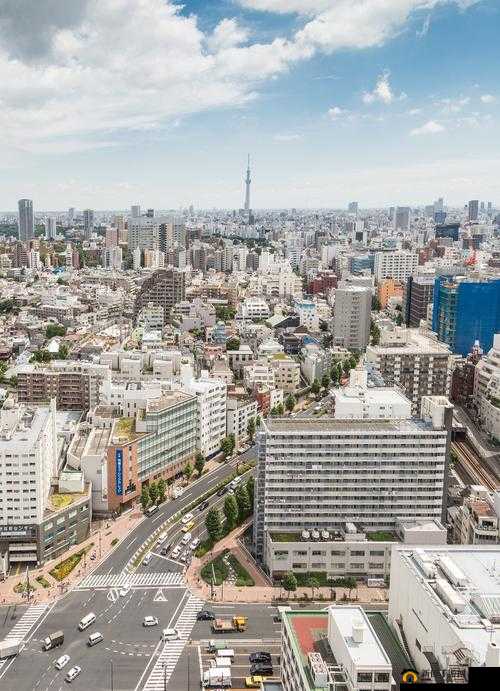 zzji 日本：精彩内容等你来探索