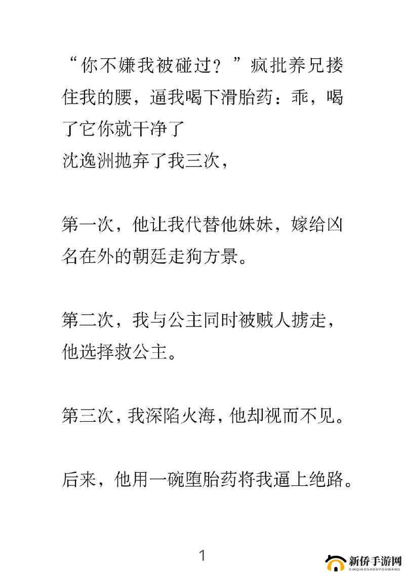 双龙 1v2 养兄：热血战斗与兄弟情谊