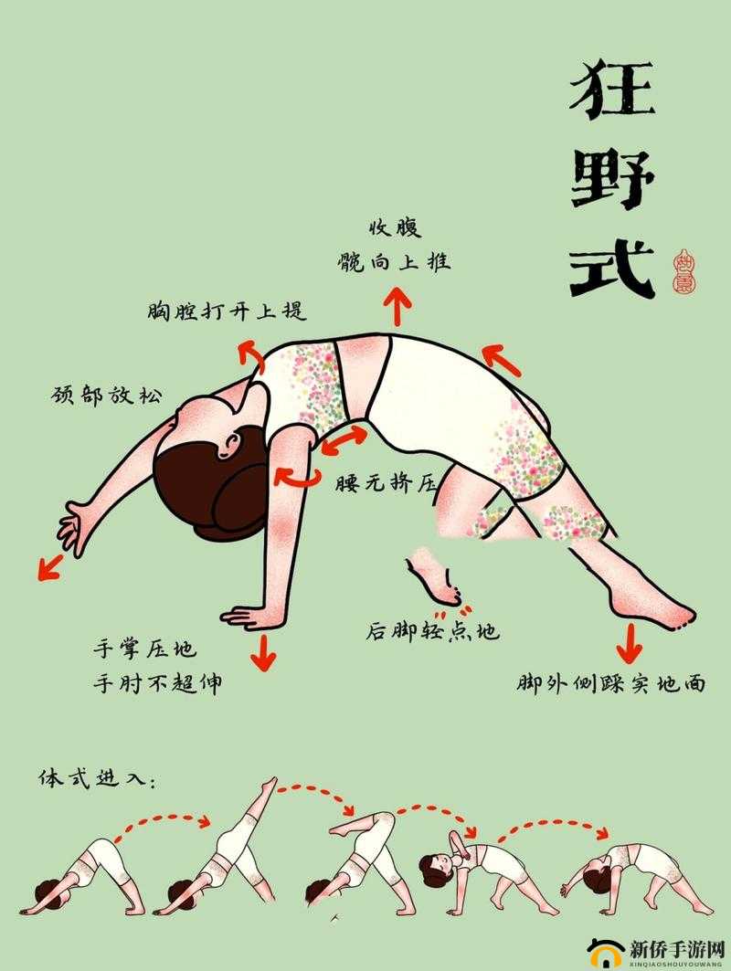 两种进入狂野式的方法有哪些：详细解析