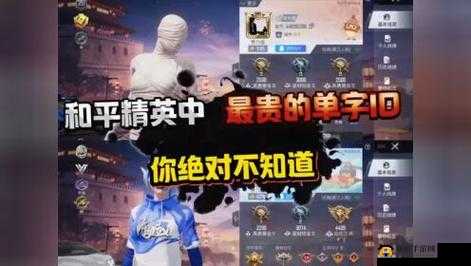 绝地求生嚣张昵称大赏：最嘲讽欠揍的吃鸡高手代号集锦