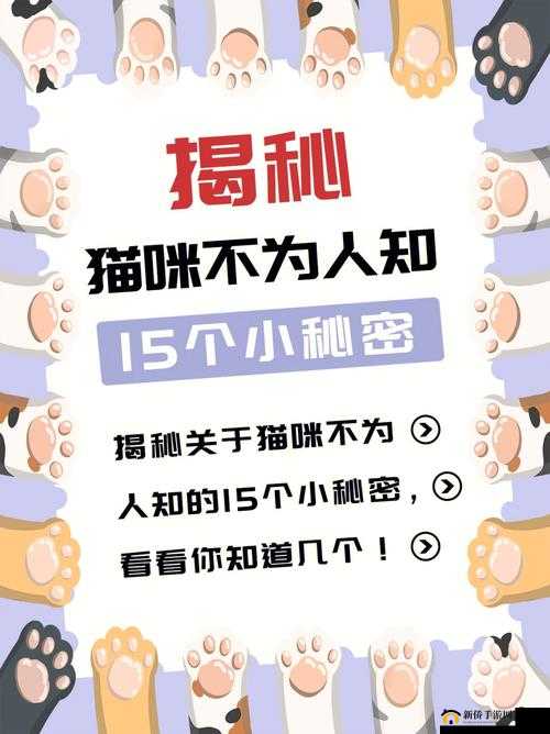美国人胶配方的秘密：揭秘惊人真相