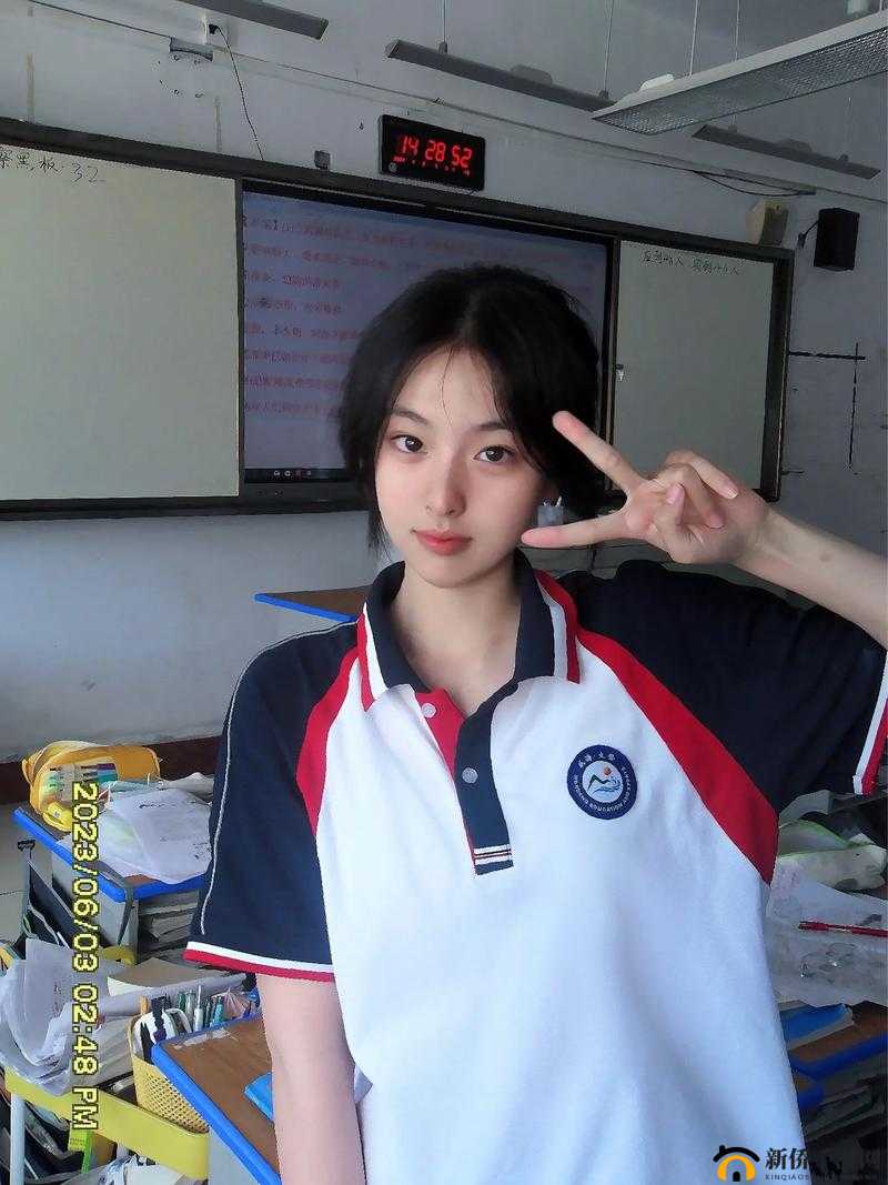 国产女高中生的青春故事