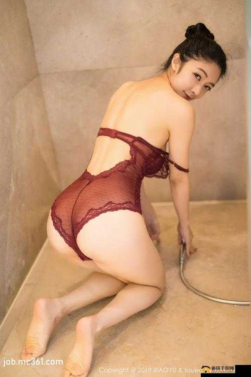 皇上御花园的 HLH 霍冶臻故事：一段传奇经历
