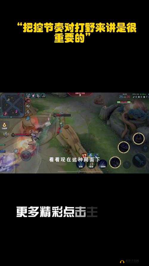 穿裙子打野的重要性：不容小觑的关键因素