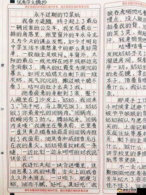 儿媳的爱：无私、深沉、永恒