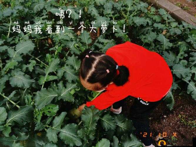 后挤牛奶拔萝卜怎么拔：实用技巧与注意事项