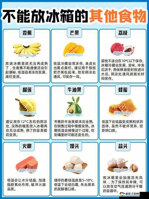 榴莲秋葵向日葵茄子丝瓜大全：食材集合